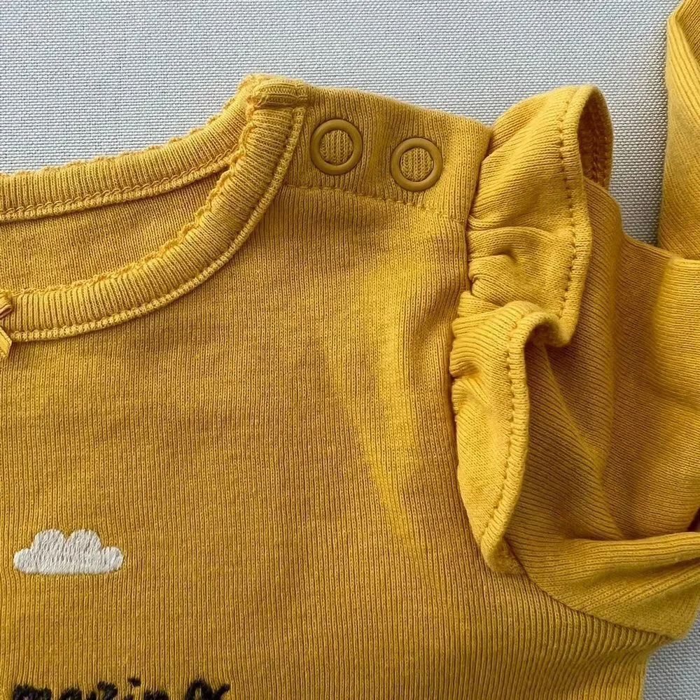 Carter's Baby Girl 2 piece Llama Set 9 months